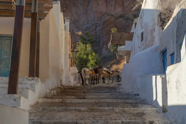 Photo of Donkeys on the steps of Fira, Santorini, Greece.