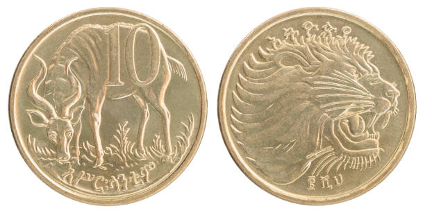 istock Ethiopian cents coin 859342712