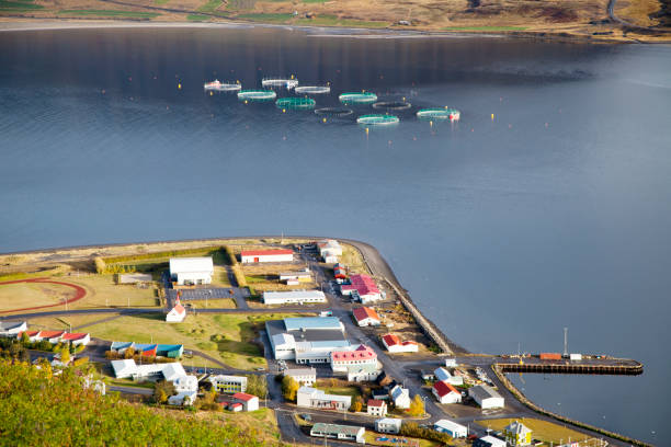 istock Salmon Farm in Iceland 859343318