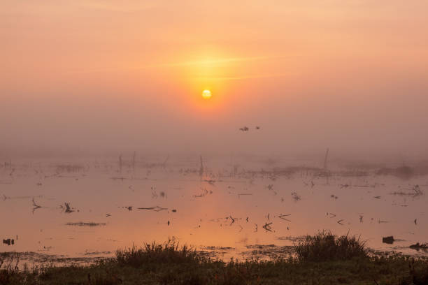 istock Sunset in the mist over the lake from the beach 859345888