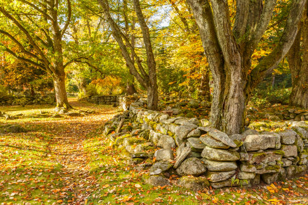istock Garden path along a stone wall with autumn colored trees 859346668