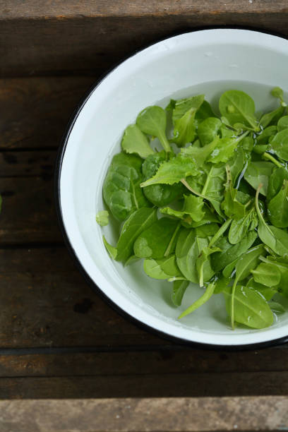 istock Fresh greens in water, cooking food 859347580