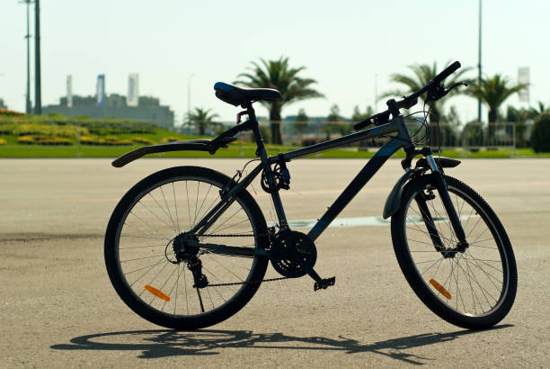 istock Mountain bike 859350296