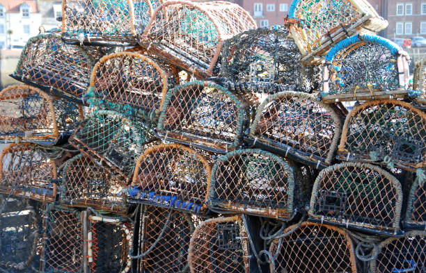 istock Whitby lobster pots - CROPPED 859351144