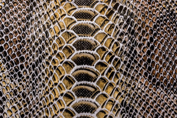 istock the texture of synthetic leather and brown 859353838