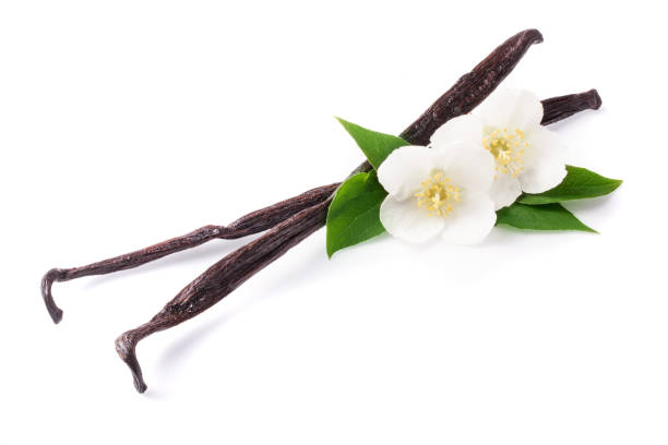 istock Vanilla sticks with flower and leaf isolated on white background 859357994