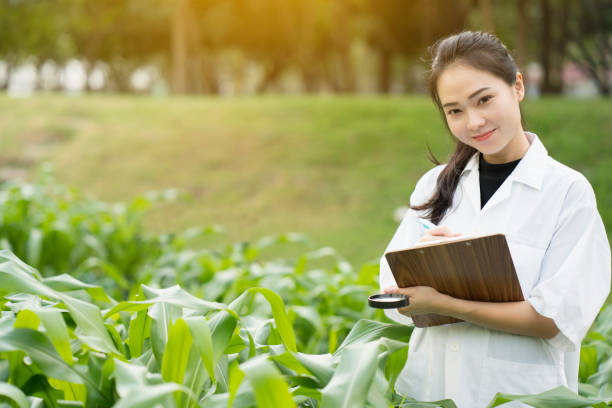 istock Biotechnology woman engineer examining plant leaf for disease, science and engineering concept 859358300