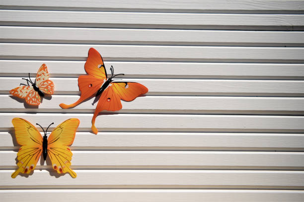 fotos de fotografia de diversão laranja amarelo brilhante borboletas na luz do sol no fundo de madeira branco e tomadas sobre a costa sul de inglaterra uk - butterflies in the stomach (expressão inglesa) - fotografias e filmes do acervo