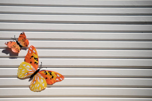 fotos de fotografia de diversão laranja amarelo brilhante borboletas na luz do sol no fundo de madeira branco e tomadas sobre a costa sul de inglaterra uk - butterflies in the stomach (expressão inglesa) - fotografias e filmes do acervo
