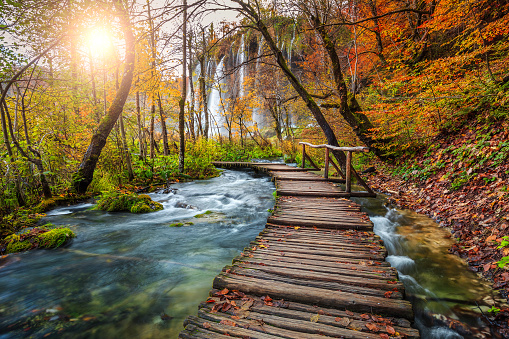 Majestic touristic wooden pathway in the colorful autumn deep forest with clean brook and spectacular waterfalls, Plitvice National Park, Croatia, Europe