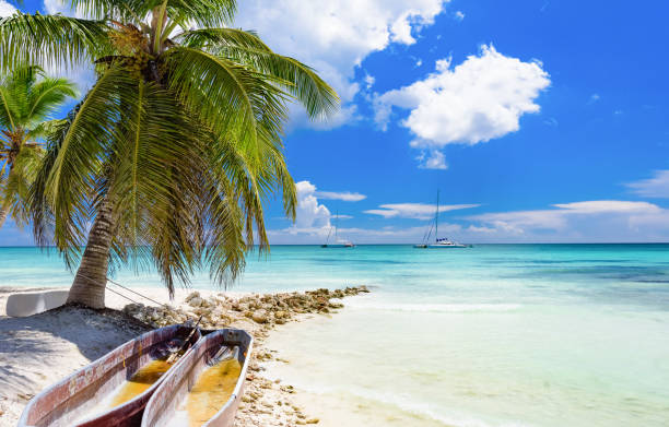 istock palm beach lounge chair 859368236