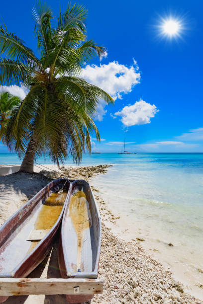 istock palm beach lounge chair 859370486