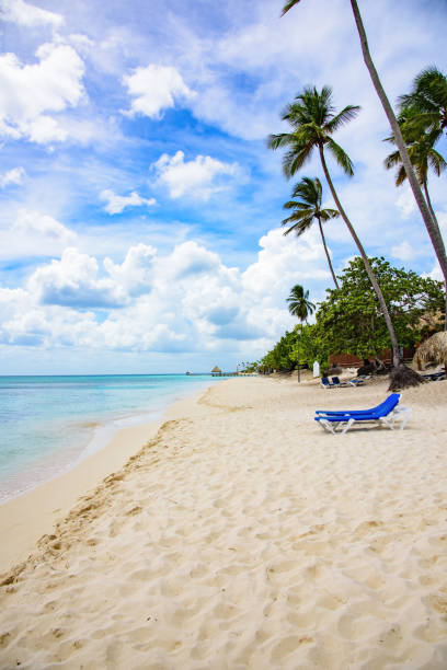 istock palm beach lounge chair 859370702
