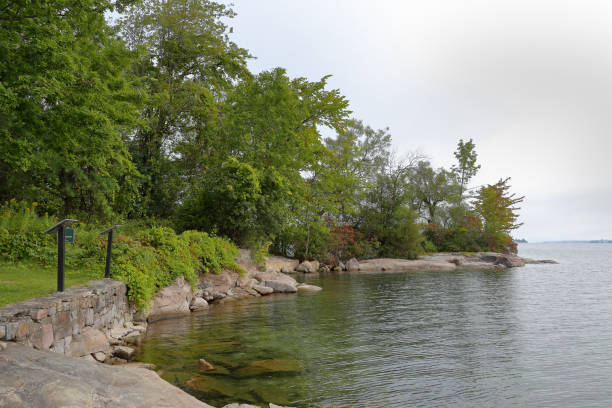 istock Trees rocks on the shore of a bay 859371216