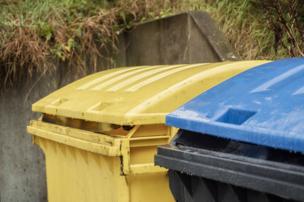 istock Two large garbage cans in yellow and blue-black 859371444