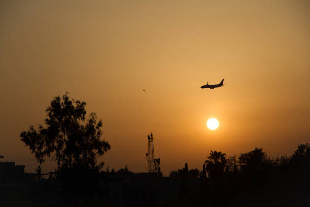 air plane flying over trees and sun set sky background