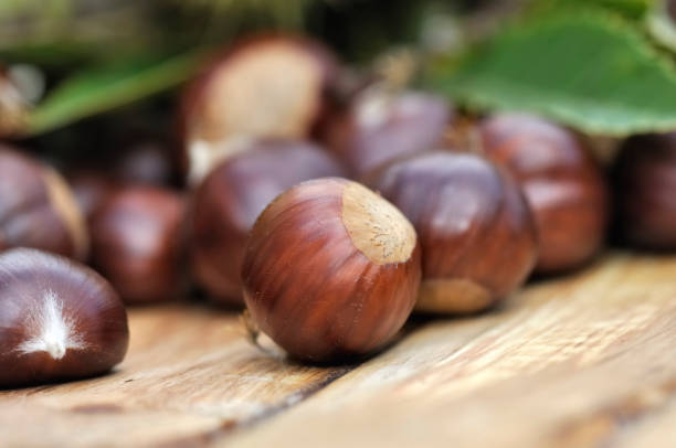istock close on sweet chestnuts on a wooden background 859375376