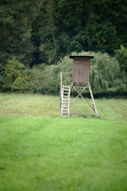 istock High seat at the edge of the forest 859375556