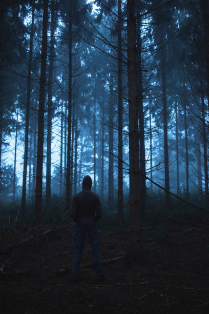 istock Man in hoody standing in spooky misty pine forest. 859378744