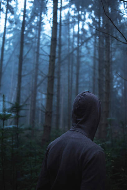 istock Man in hoody in spooky misty pine forest. Rear view. 859378746