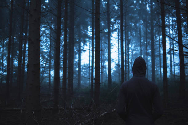 istock Man in hoody in spooky misty pine forest. Rear view. 859378750