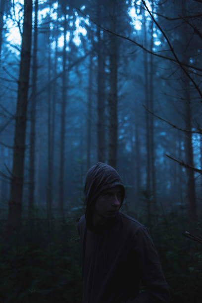 istock Man in hoody in spooky misty pine forest. 859378760