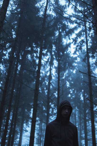 istock Man in hoody in spooky misty pine forest. 859378764