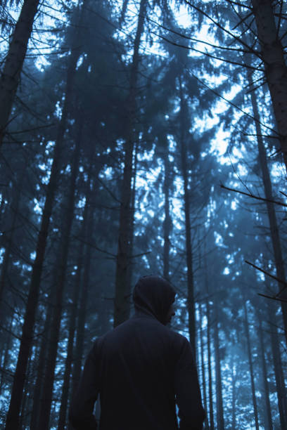 istock Man in hoody in spooky misty pine forest. Rear view. 859378794
