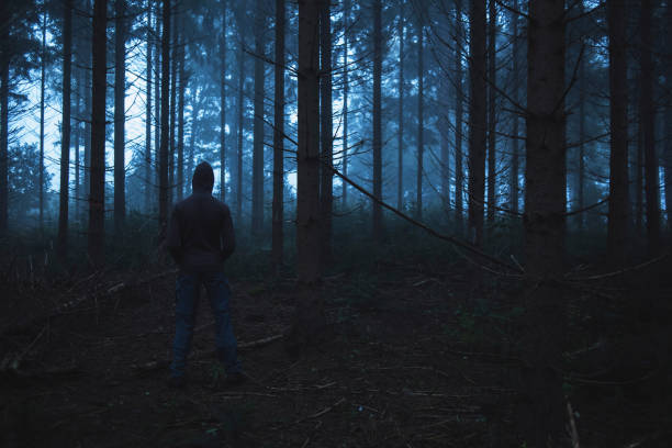 istock Man in hoody standing in spooky misty pine forest. 859378814