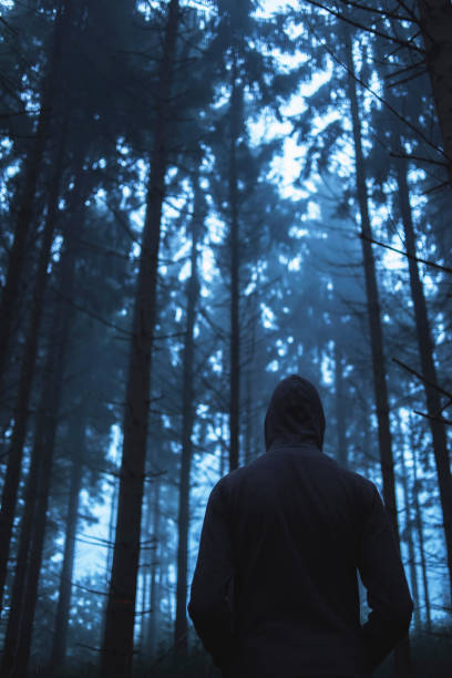 istock Man in hoody in spooky misty pine forest. Rear view. 859378872