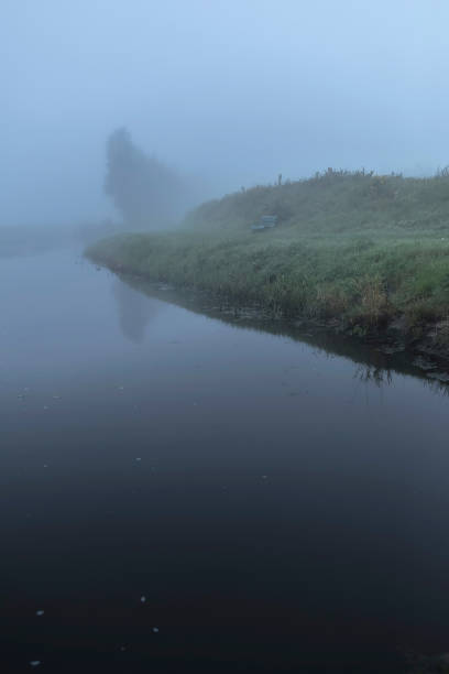 istock Stream with trees in mist on early morning. 859378922