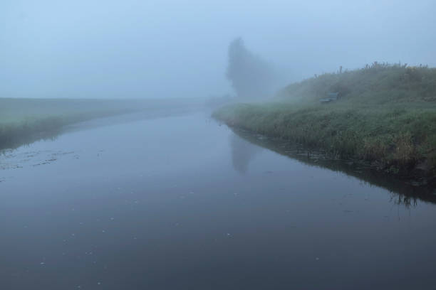 istock Stream with trees in mist on early morning. 859378926