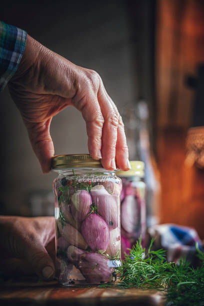 erhaltung der bio rote zwiebeln und rote zwiebeln in gläser - preserves pickle jar relish stock-fotos und bilder