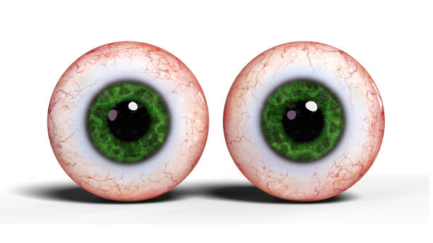 istock two realistic human eyes with green iris, isolated on white background (3d illustration) 859389316