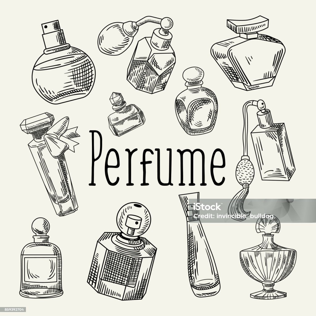 Perfume Bottles Hand Drawn Doodle. French Aroma. Woman Beauty Shop Sketch Perfume Bottles Hand Drawn Doodle. French Aroma. Woman Beauty Shop Sketch. Vector illustration Perfume stock vector