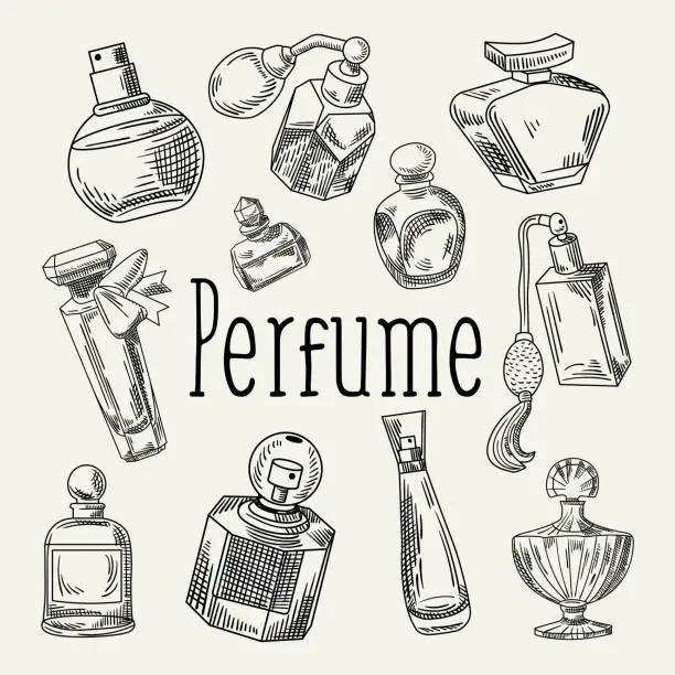 Vector illustration of Perfume Bottles Hand Drawn Doodle. French Aroma. Woman Beauty Shop Sketch