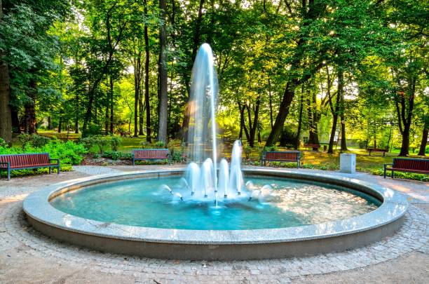 都市公園の噴水。 - fountain ストックフォトと画像