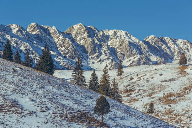 istock Piatra Craiului mountains, Romania 859403304