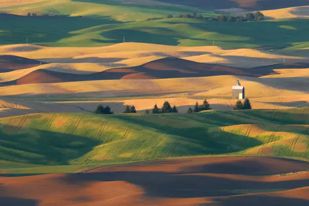The Palouse from the summit of Steptoe Butte in Steptoe Butte State Park near Colfax, Washington