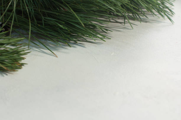 istock Festive background of winter decoration 859406674