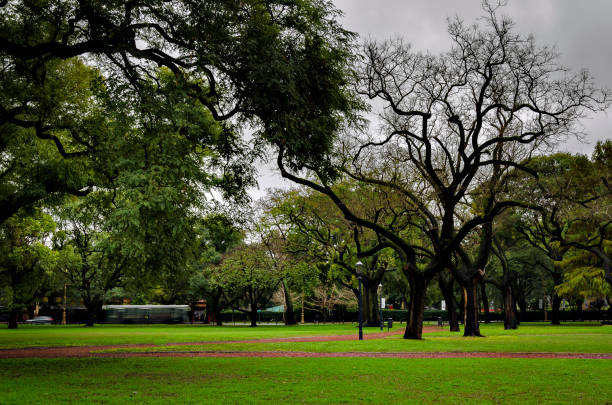 verde square - buenos aires argentina palermo buenos aires south america - fotografias e filmes do acervo