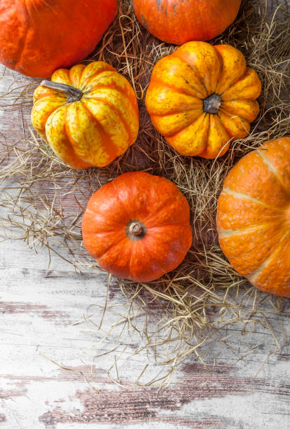 istock Pumpkins colorful overhead with straw on white rustic wooden table 859407380