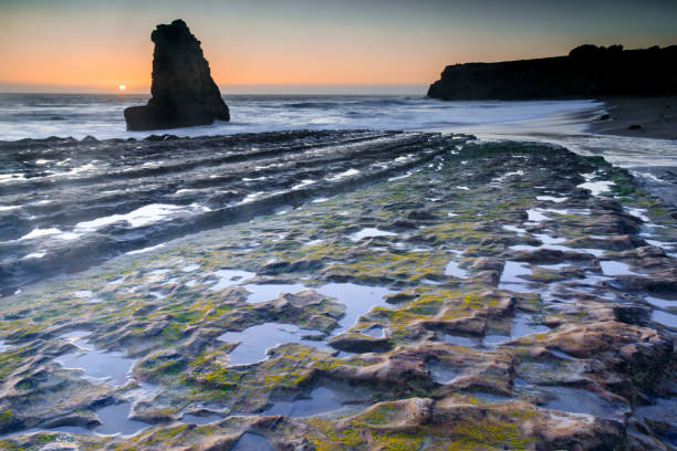 Low Tide at Davenport Crack