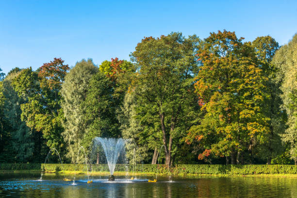 un petit étang avec une fontaine dans le parc de peterhof. - 13414 photos et images de collection