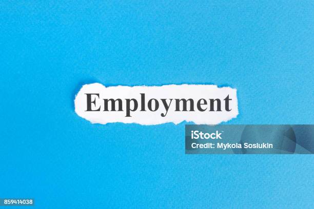 Employment Text On Paper Word Employment On Torn Paper Concept Image Stock Photo - Download Image Now