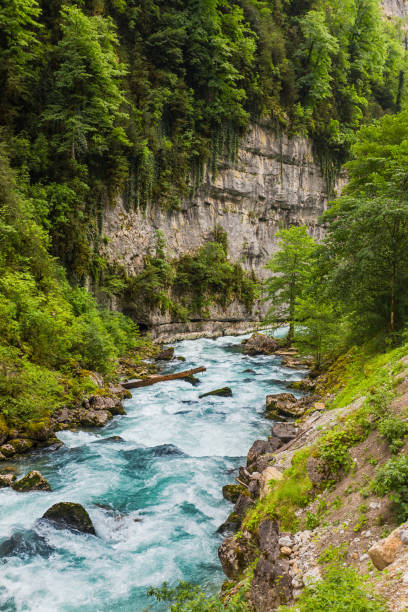 istock Landscape in Abkhazia with Caucasian ridge and river 859417214