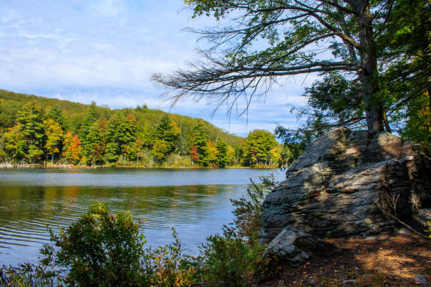 istock Rock on the shore of Breakneck Pond 859420762