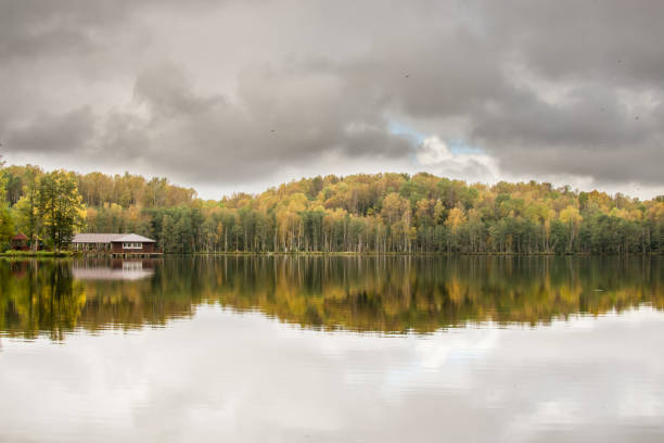 lake in autumn forest panorama shot of the day