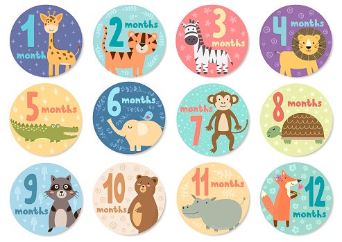 Cute twelve months stickers with animals for babies. Vector illustration