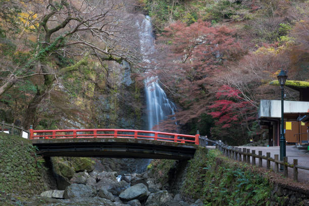 istock Minoo waterfall in autumn, Osaka 859424318